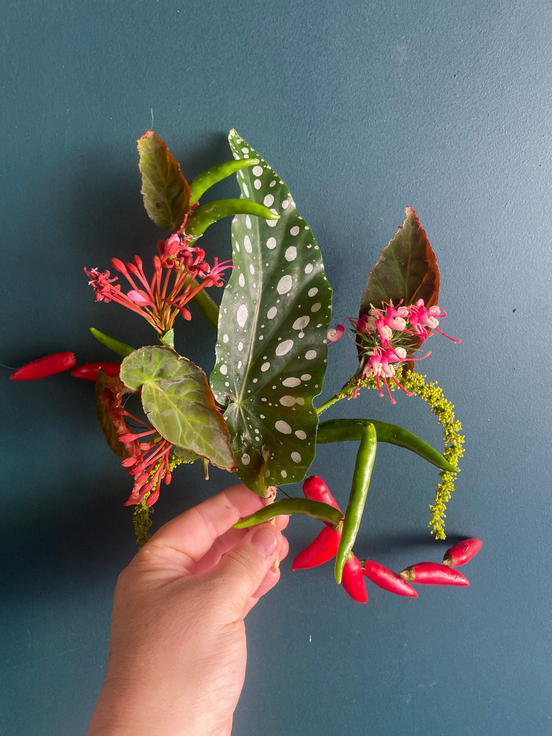 Bold Botanicals in inner west Sydney, craft unique and expressive floral wearables.