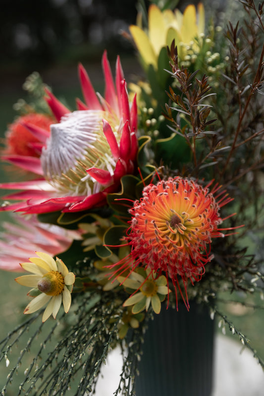 Images of flowers by Bold Botanicals at the Sydney Peace Prize Gala Dinner.