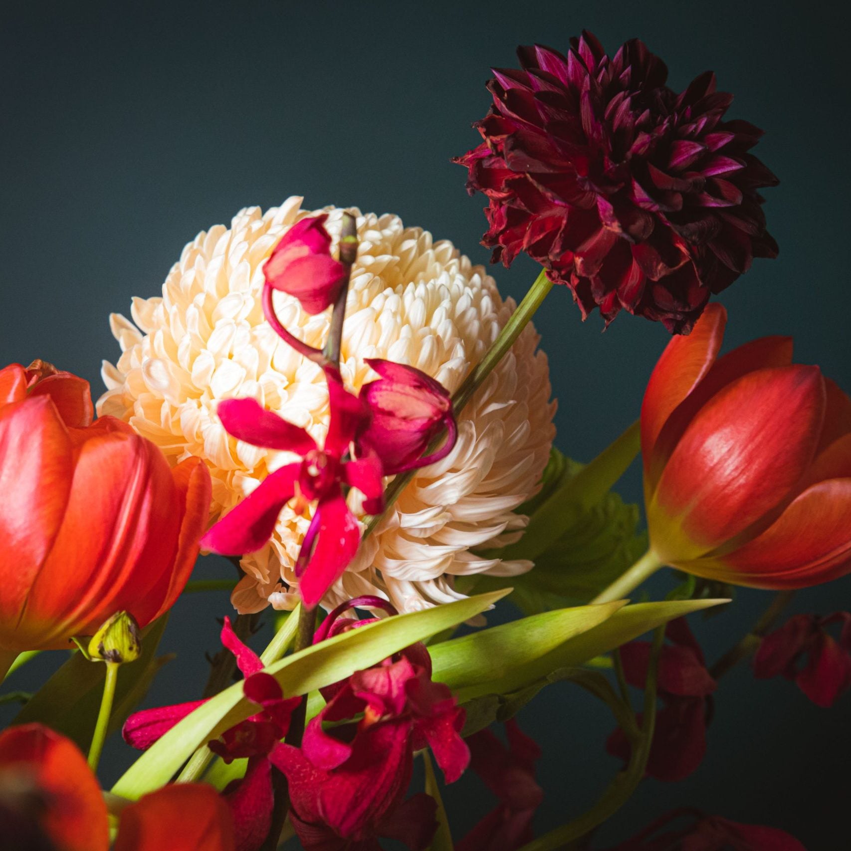 An arrangement of bold red and pink flowers by Bold Botanicals