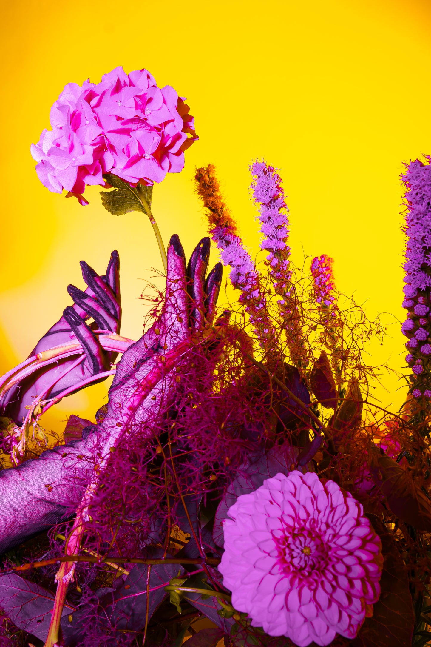 A tulle gloved hand dips into a neon gardenscape artistically by Bold Botanicals