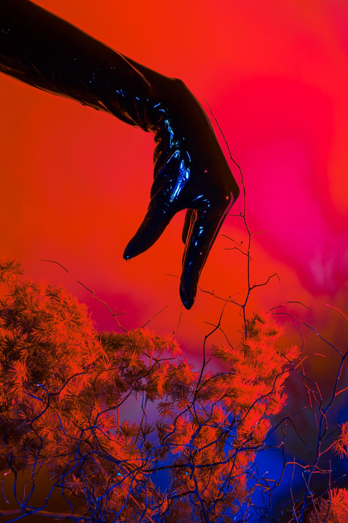 A latex gloved hand dips into a neon gardenscape artistically by Bold Botanicals